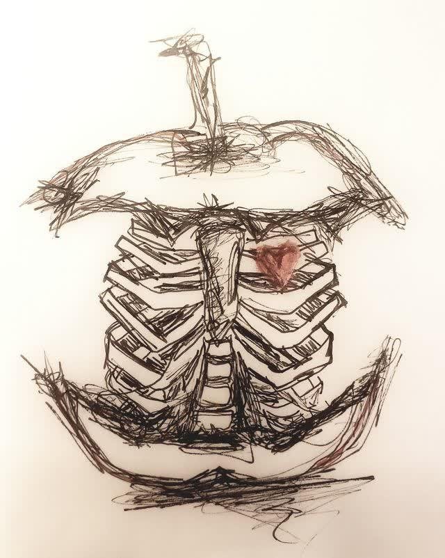 Pen sketch of a human ribcage and sternum with a small red heart tucked between the ribs on the upper right; loose gestural strokes on white paper.