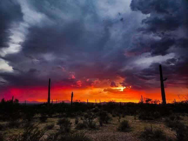 Saguaro silhouettes beneath a dramatic sunset where dark storm clouds burn red and orange above a dark desert floor.